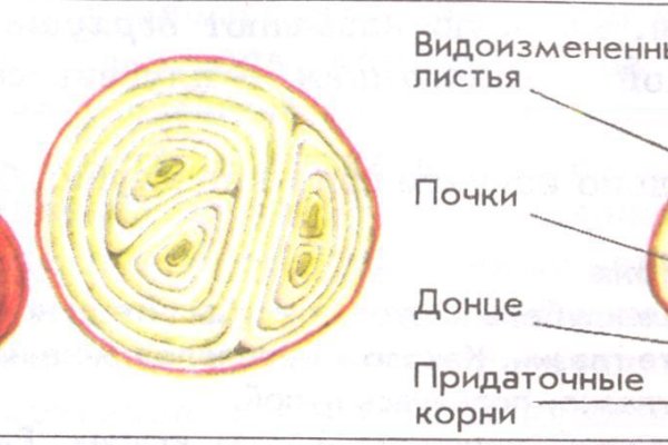 Почему не могу зайти на кракен