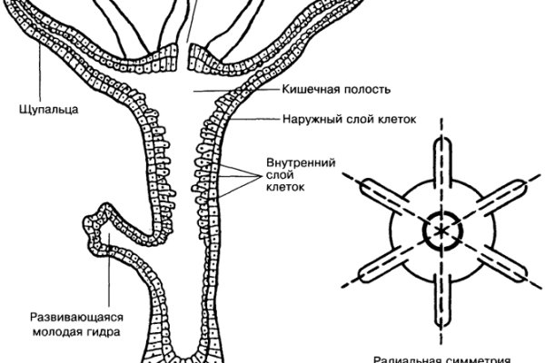 Новая ссылка на кракен